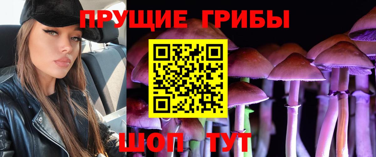 Галлюциногенные грибы Psilocybe Аксай