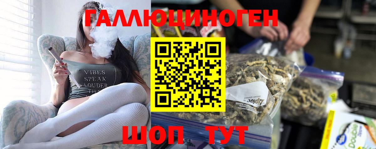 Псилоцибиновые грибы Psilocybine cubensis  Вход с VPN  сколько стоит  Галлюциногенные грибы Psilocybe  Аксай 